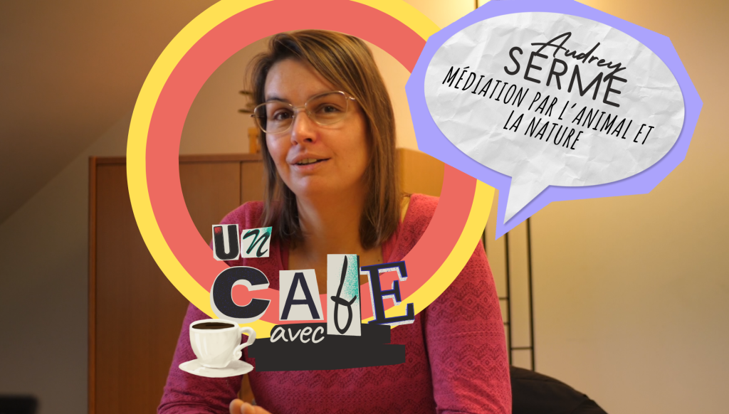Le Bloc TV 13 Audrey